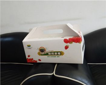 草(cǎo)莓禮(lǐ)盒紙箱